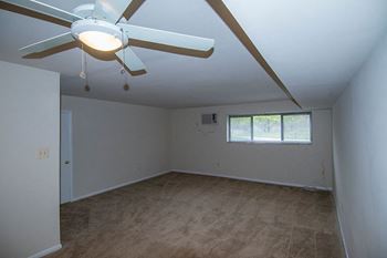 Ceiling fan